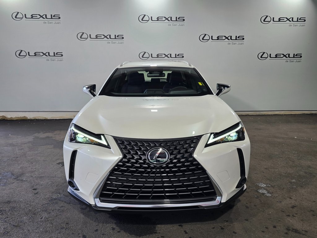 2025 Lexus UX photo 2