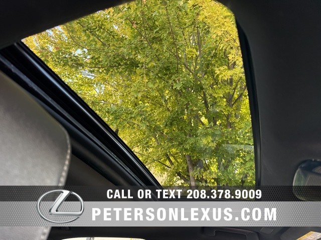 2024 Lexus RX 350h Premium photo 13