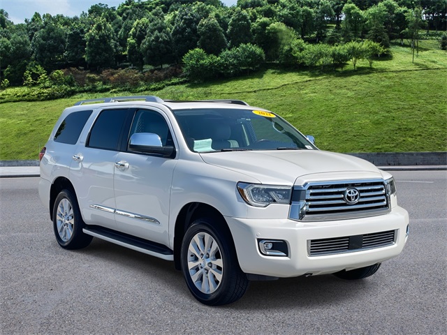 ダイナスフィア　Platinum Pool Platinum Japa - Dyna|spheres®