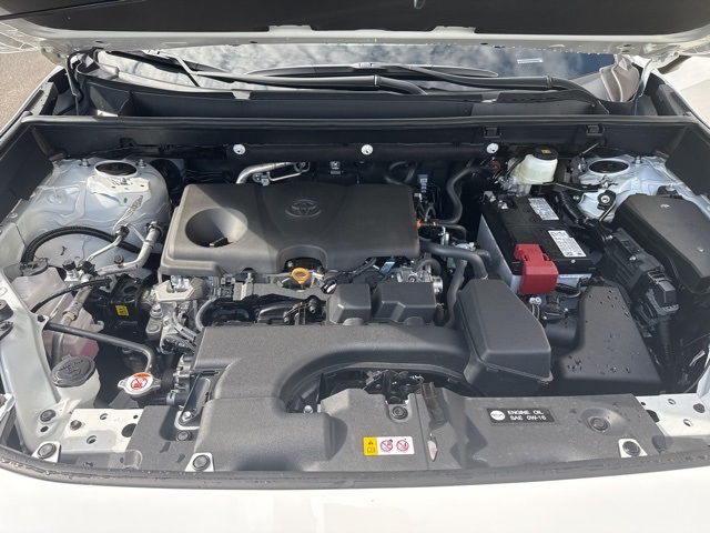 2025 Toyota RAV4 LE photo 20
