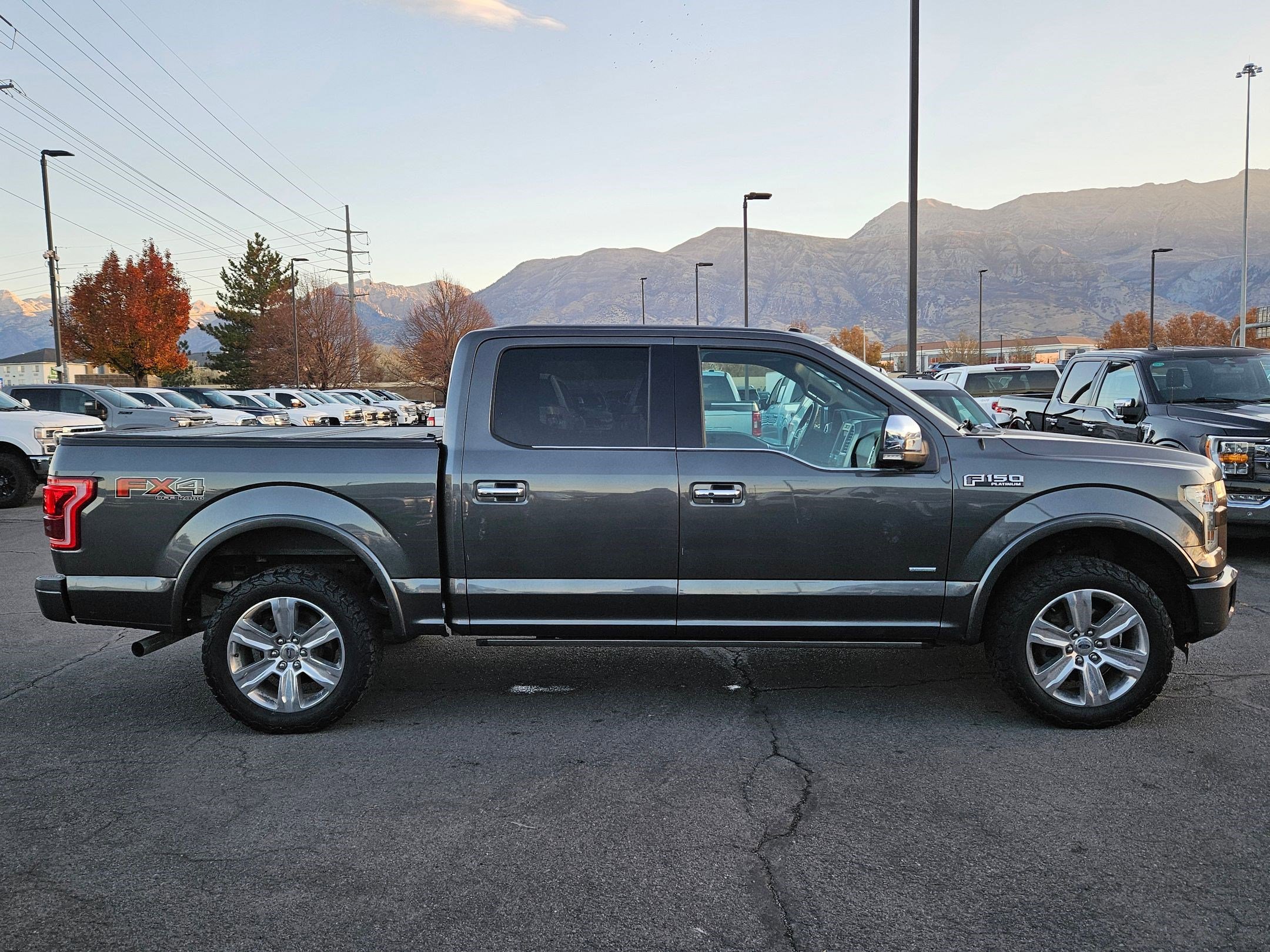 2016 Ford F-150 Platinum photo 2