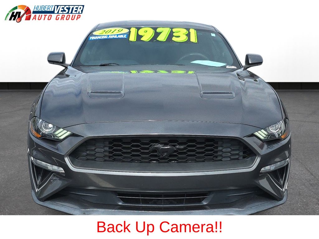 2019 Ford Mustang EcoBoost photo 3