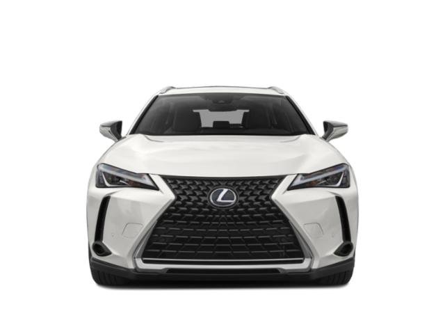 2020 Lexus UX 250h Premium photo 4