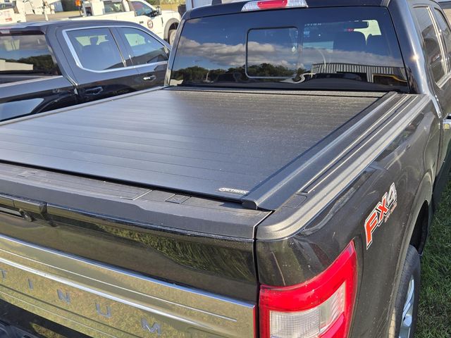 2023 Ford F-150 Platinum photo 7