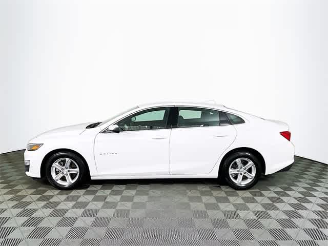 2023 Chevrolet Malibu 1LT photo 2