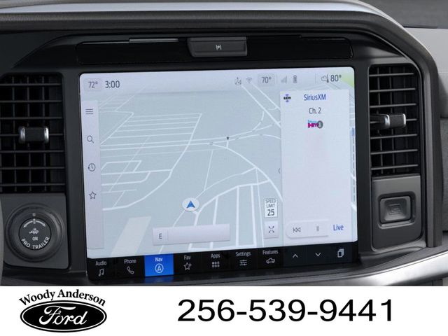 2025 Ford F-150 Platinum photo 14