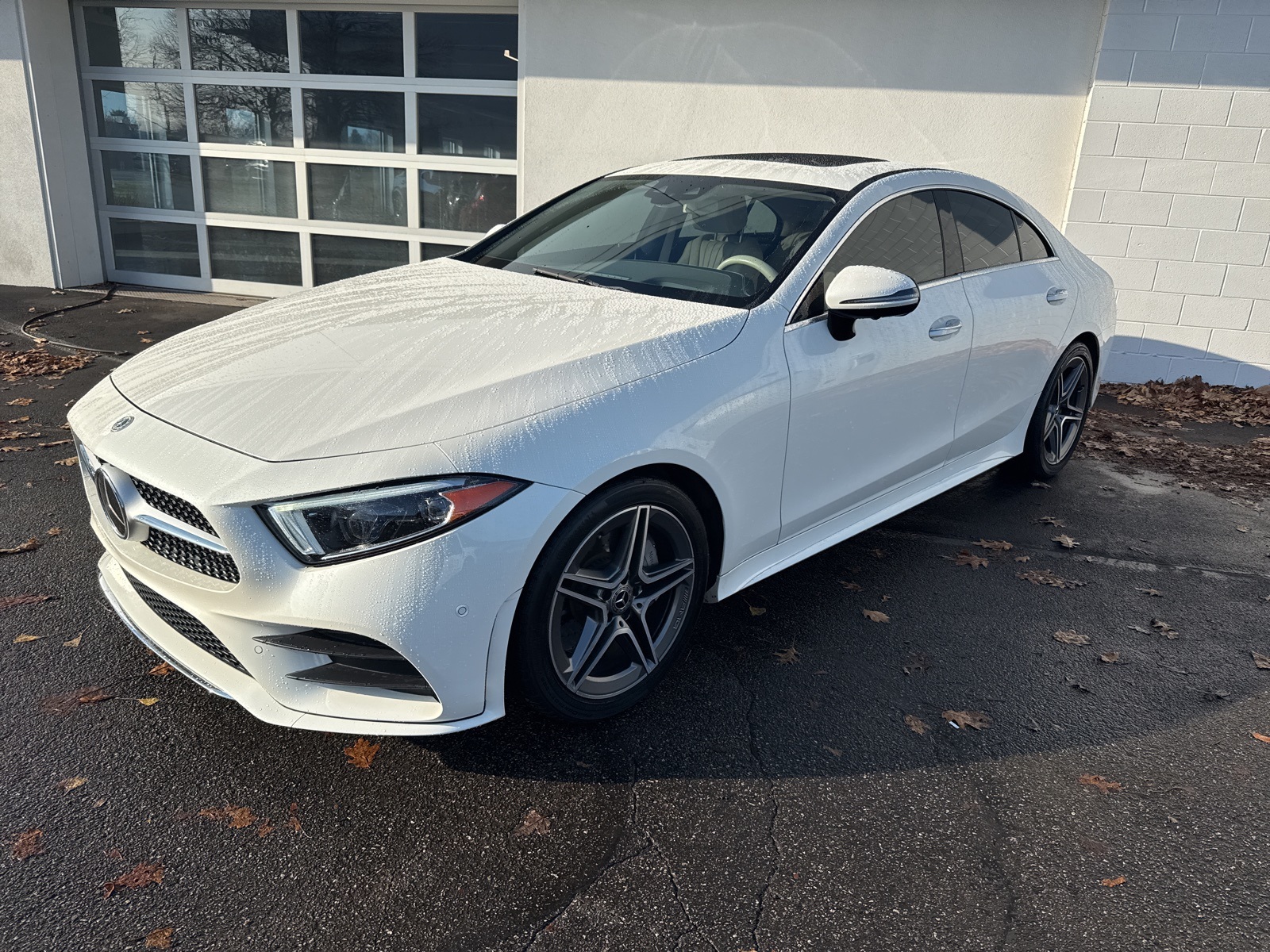2019 Mercedes-Benz CLS-Class