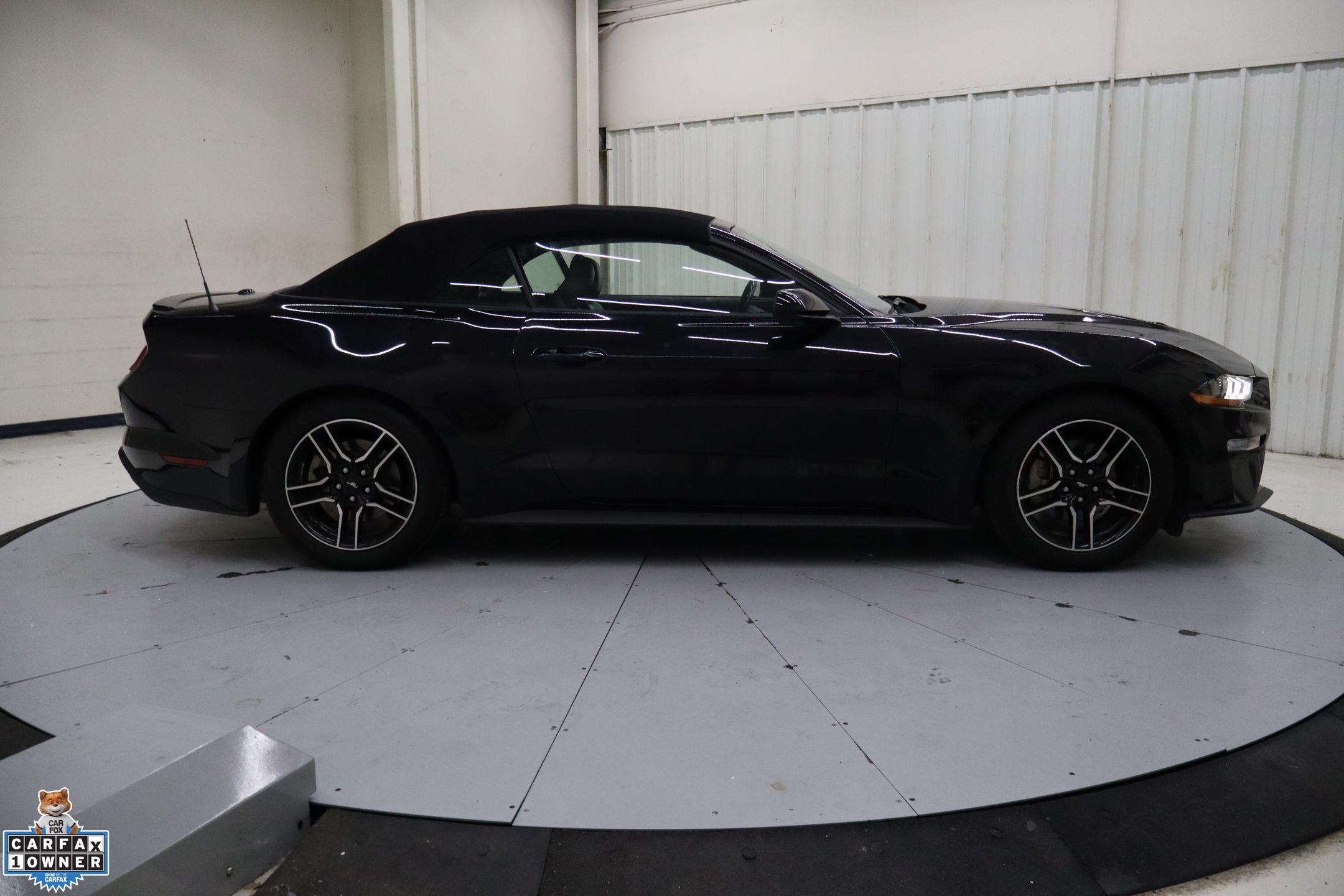 2023 Ford Mustang EcoBoost Premium photo 2