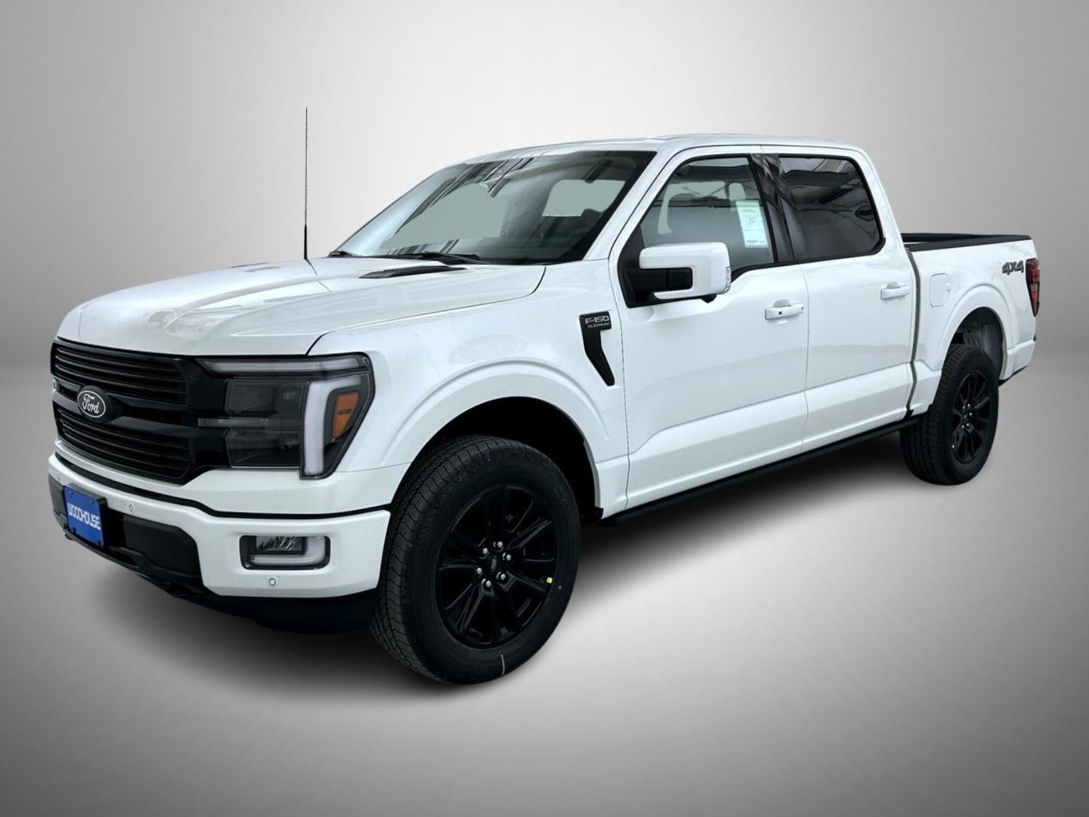 2025 Ford F-150 Platinum's photo
