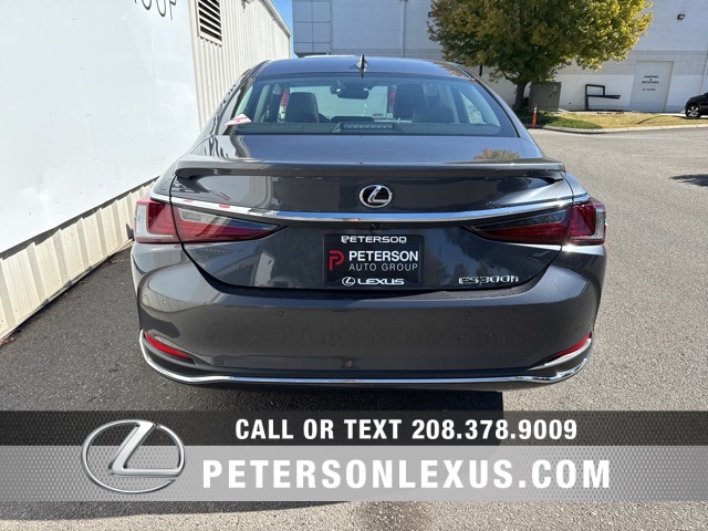 2025 Lexus ES 300h photo 4
