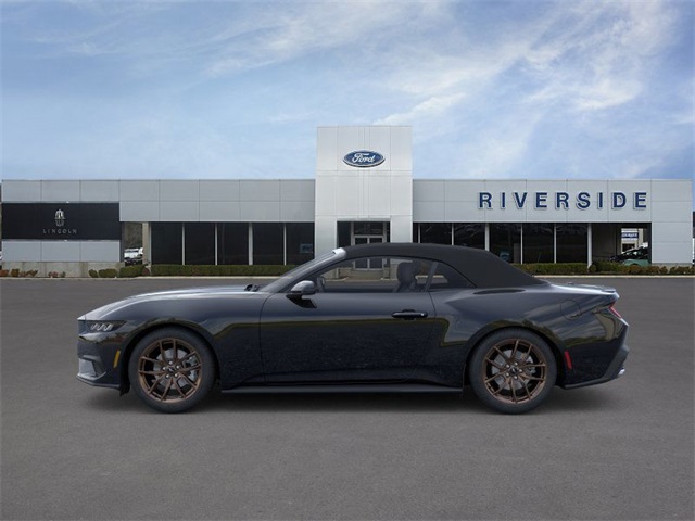 2025 Ford Mustang EcoBoost Premium photo 3