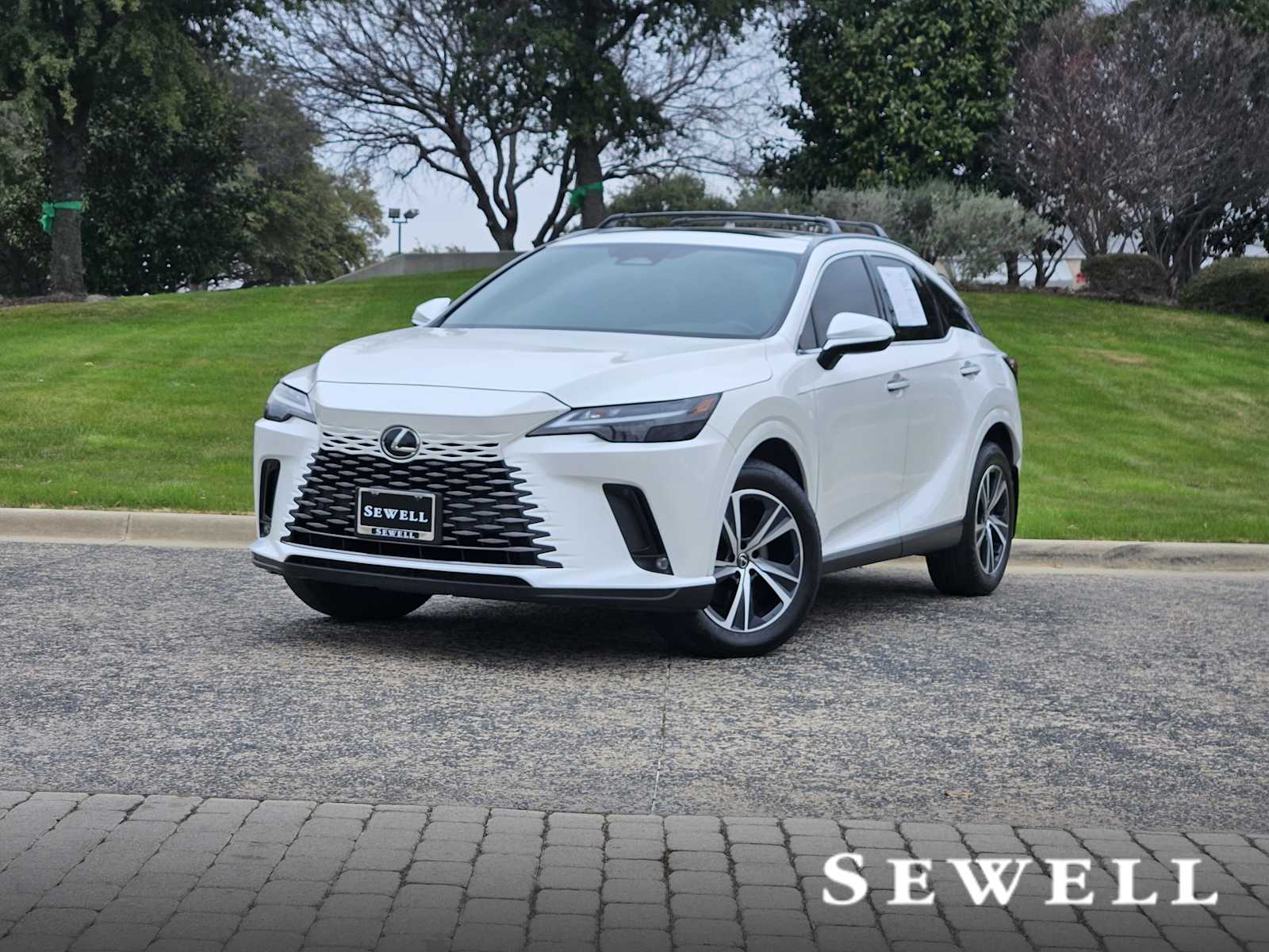 2023 Lexus RX 350's photo