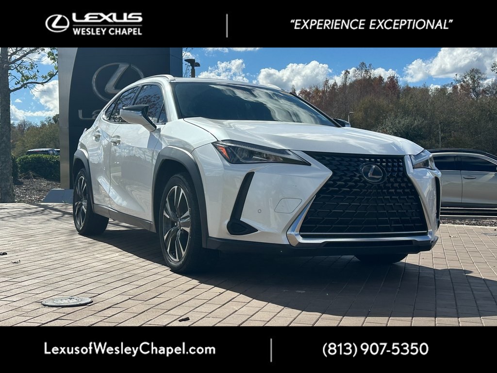 2019 Lexus UX 200's photo