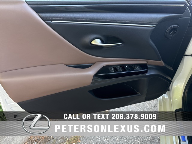 2022 Lexus ES 300h photo 19