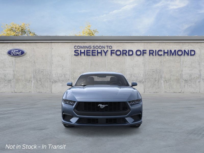 2025 Ford Mustang EcoBoost photo 5