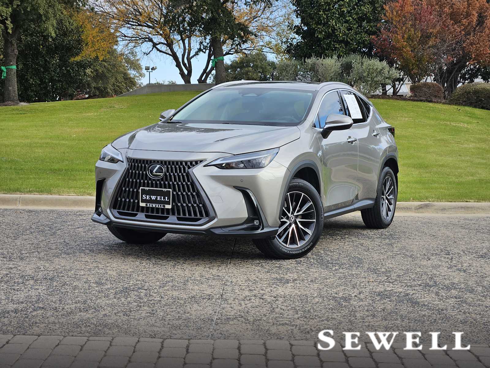 2024 Lexus NX 250's photo