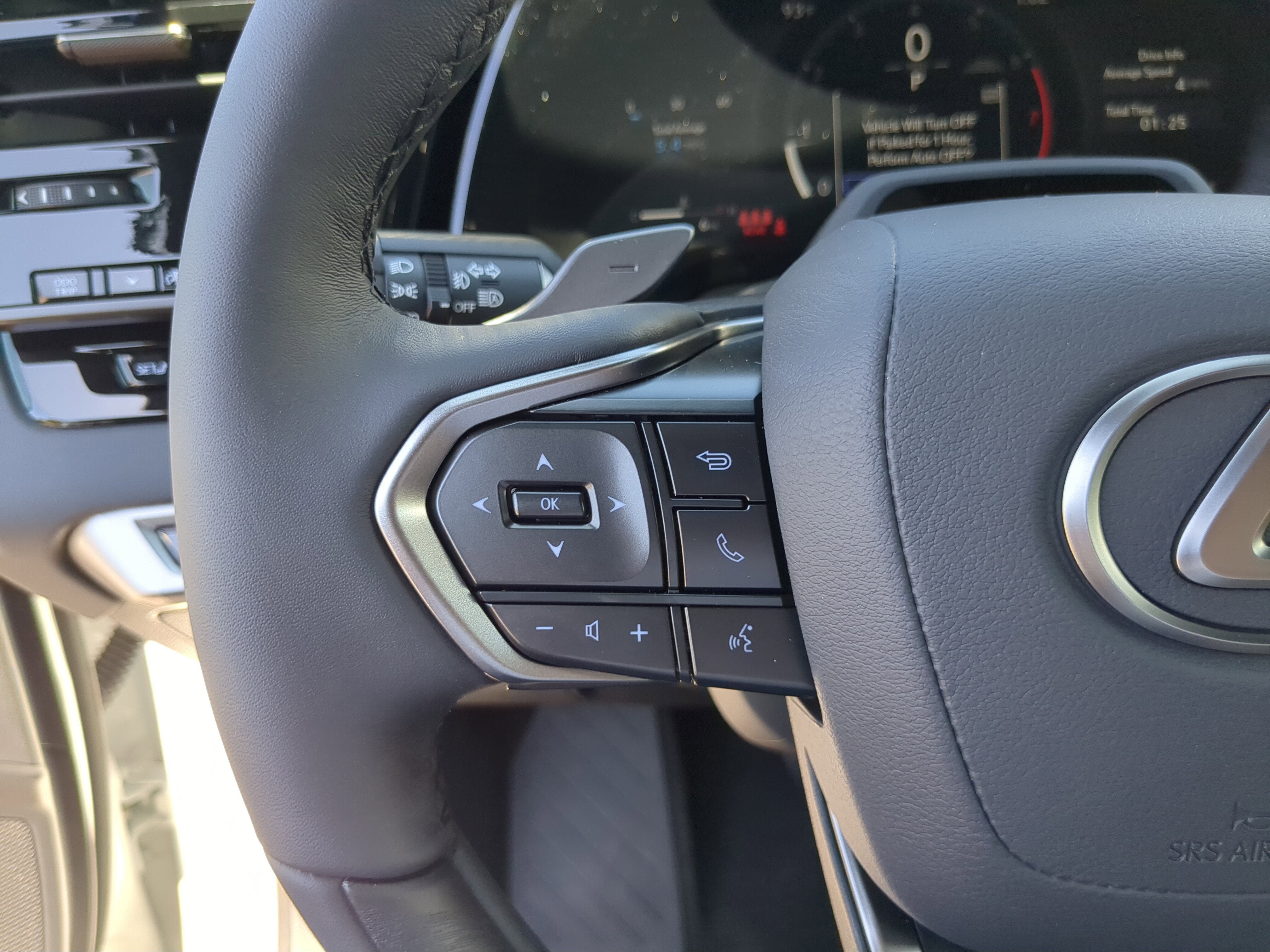 2025 Lexus RX 350 F SPORT photo 22