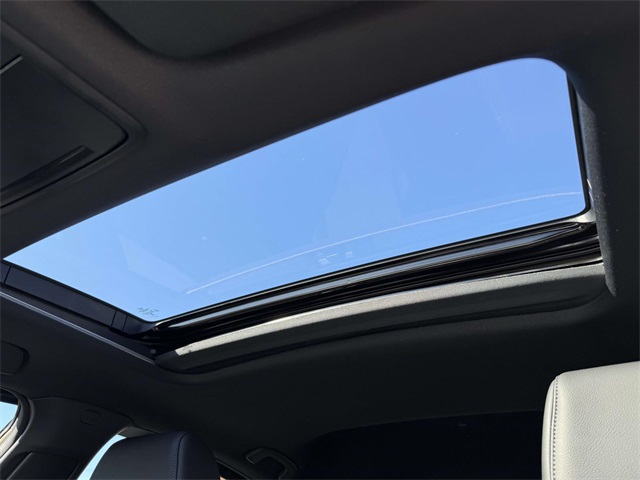 2025 Honda Civic Hybrid Sport Touring photo 4