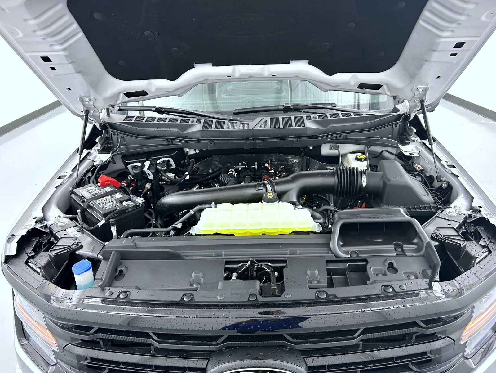2025 Ford F-150 XLT photo 23