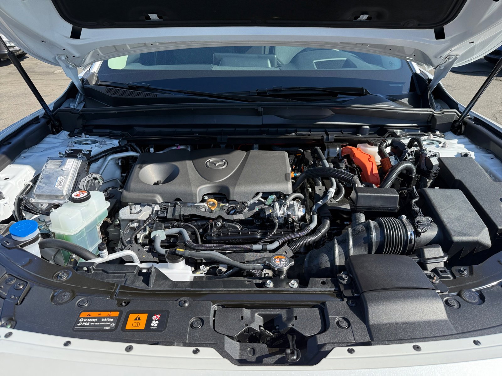 2025 Mazda CX-50 Premium Plus photo 20