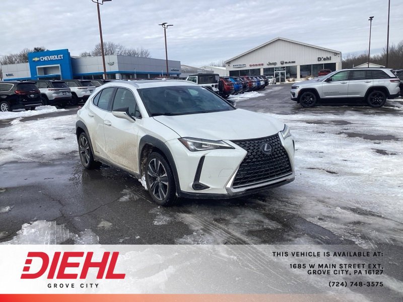 2020 Lexus UX Hybrid 250h's photo