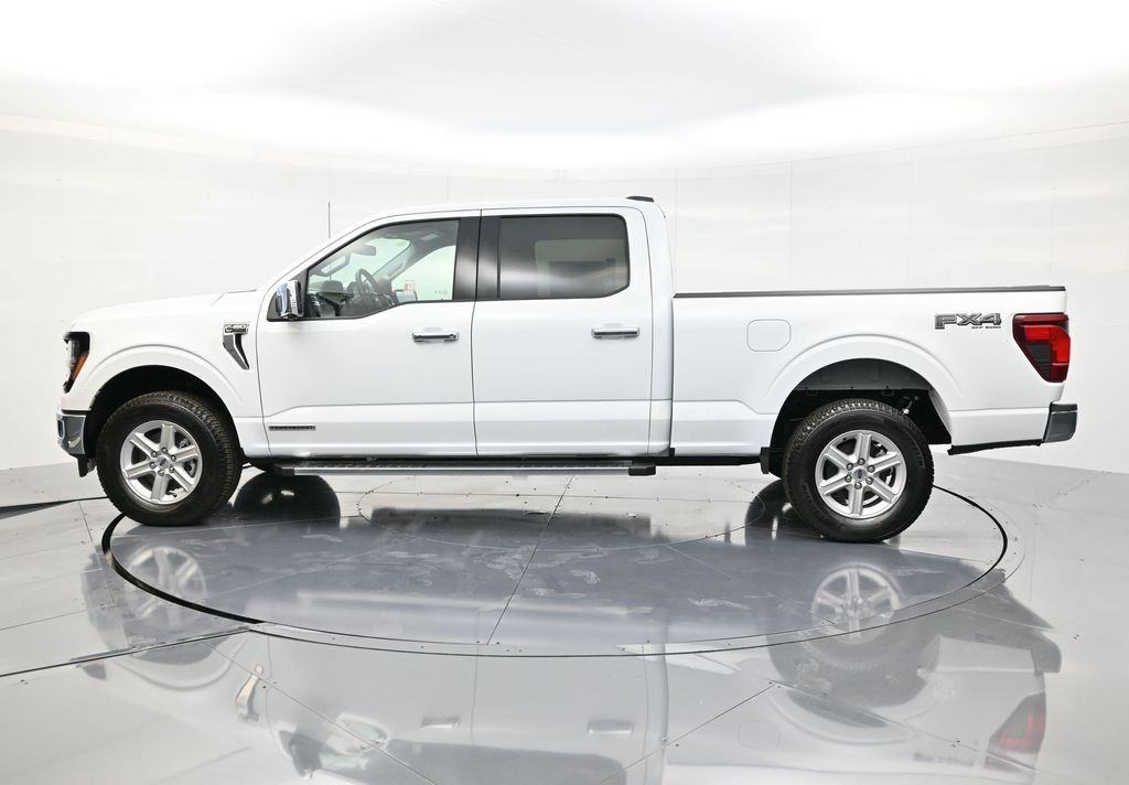 2025 Ford F-150 XLT photo 8