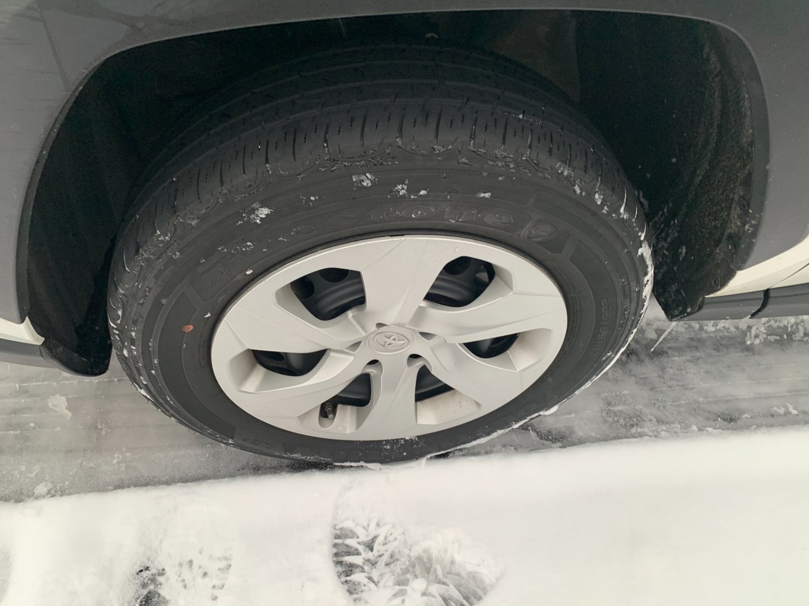 2023 Toyota RAV4 LE photo 3