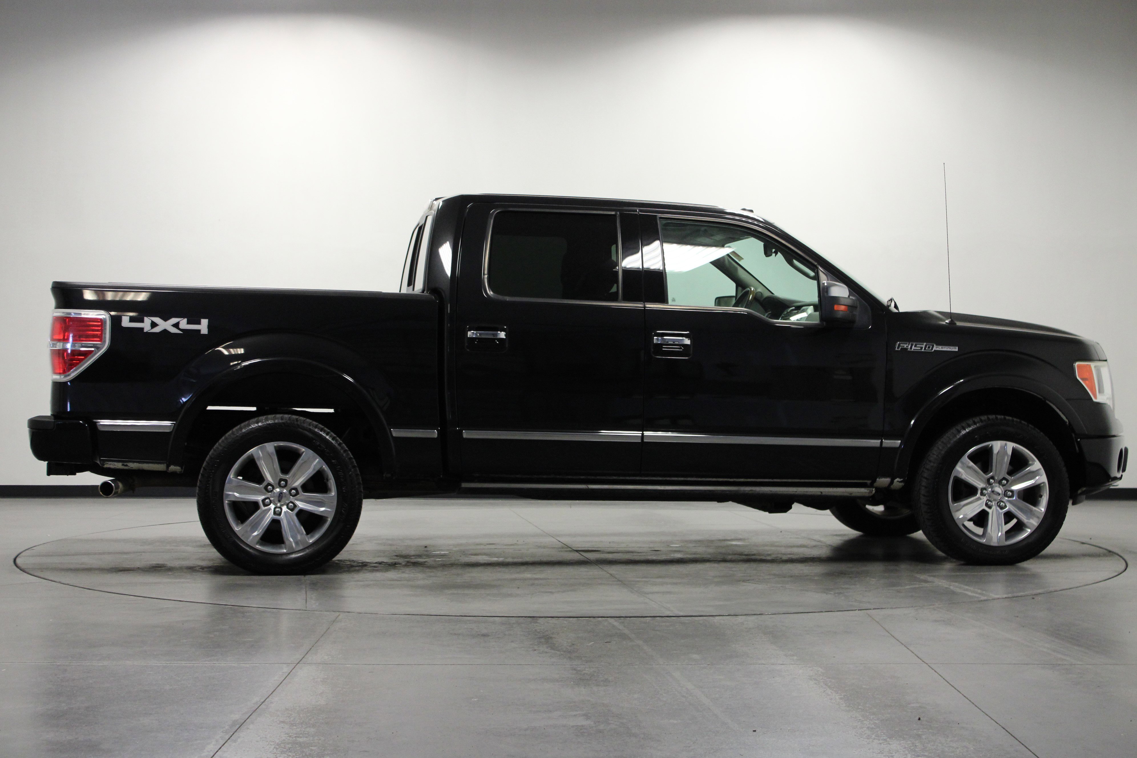 2010 Ford F-150 Platinum photo 2