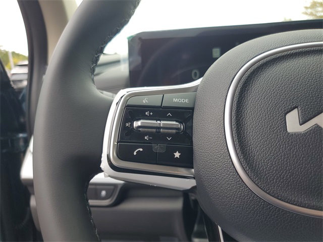 2026 Kia Carnival SX photo 17