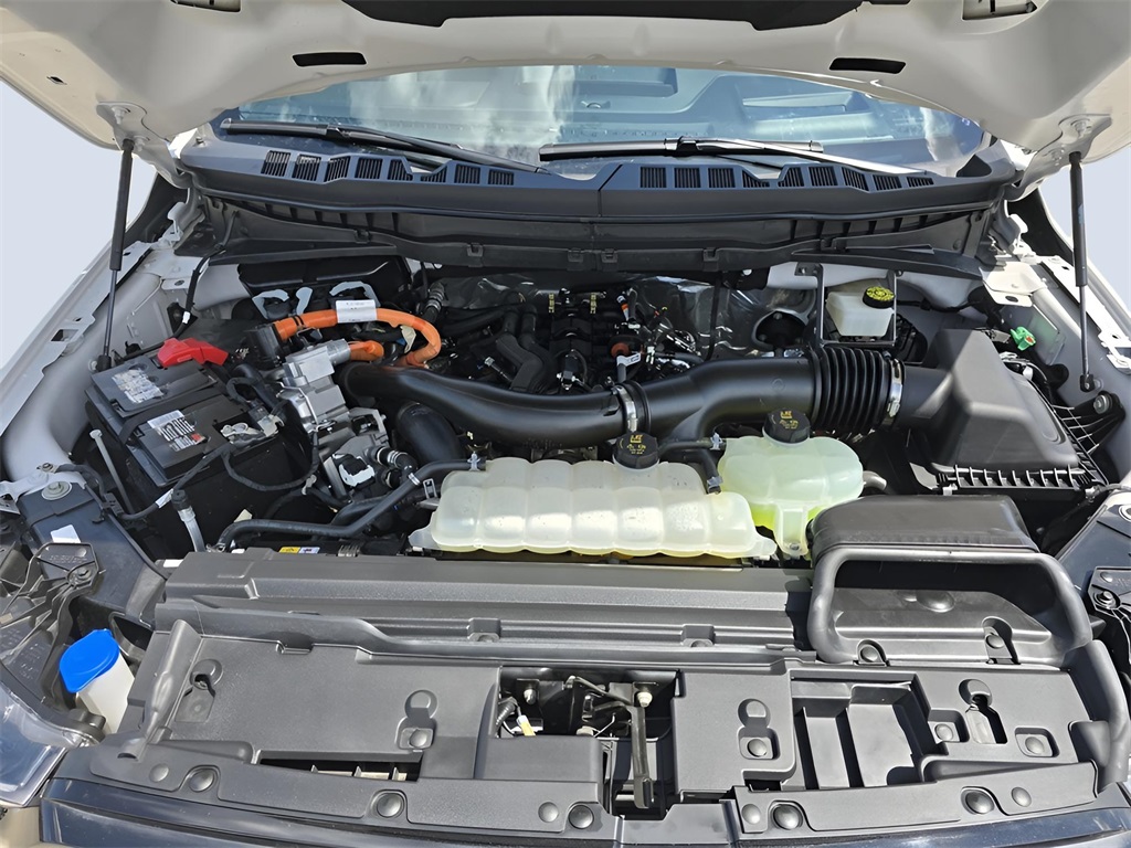 2024 Ford F-150 Platinum photo 31