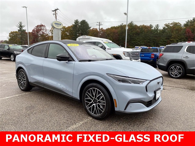 2025 Ford Mustang Mach-E Premium AWD's photo