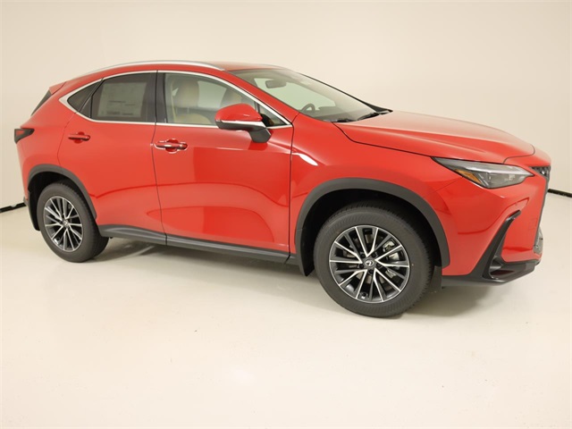 2025 Lexus NX 250 photo 5