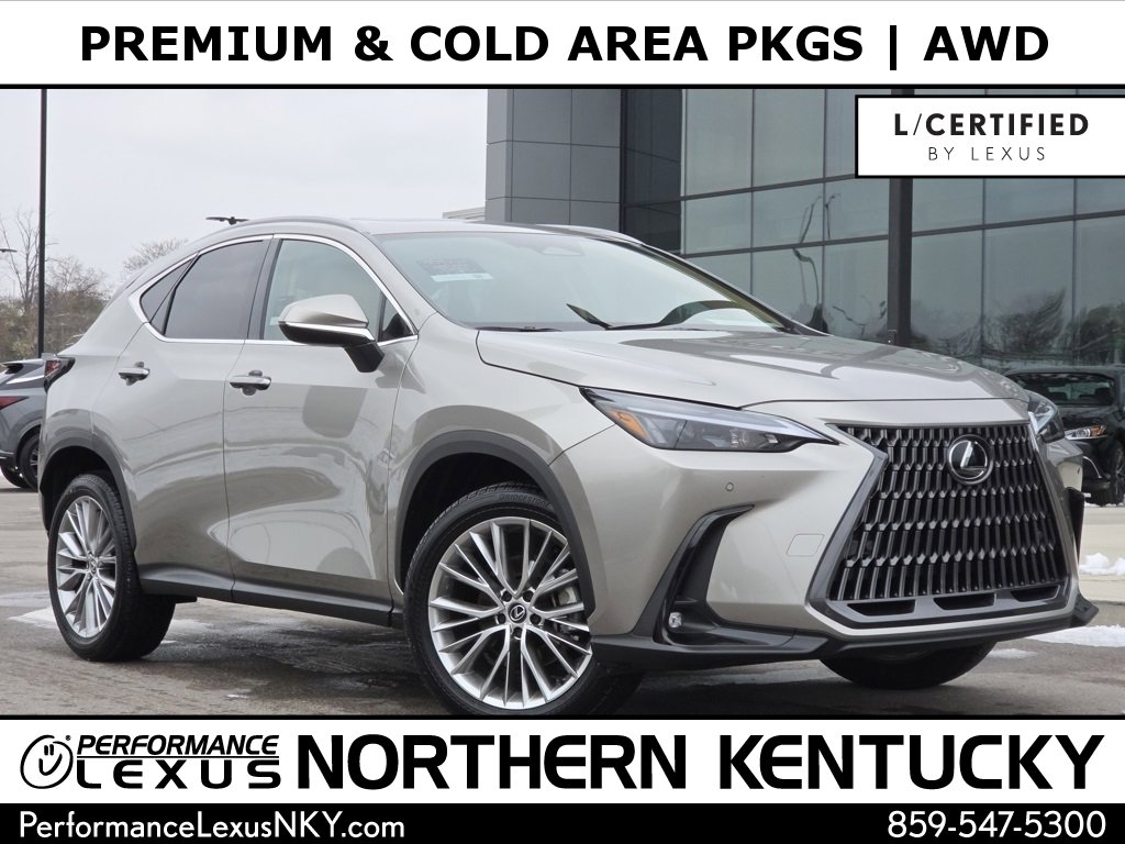 2025 Lexus NX 350's photo