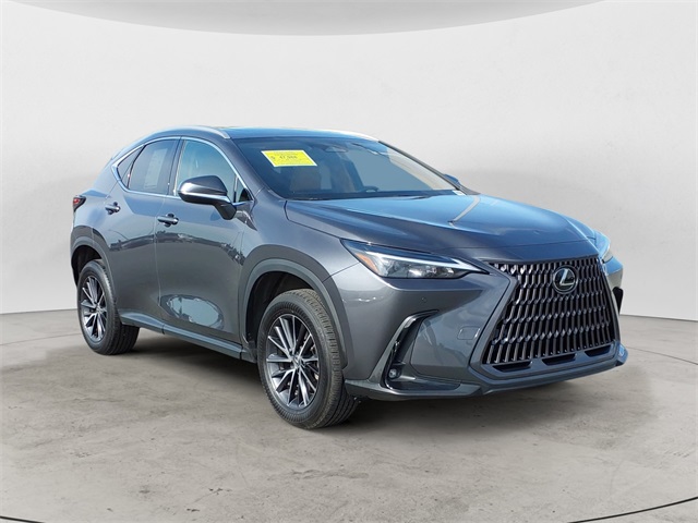 2024 Lexus NX 350h Premium photo 7