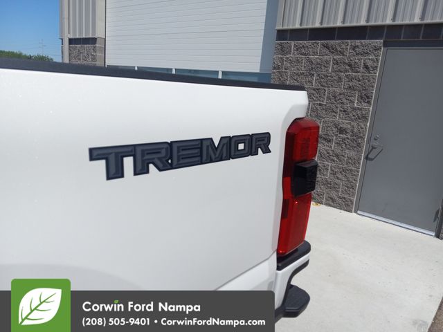 2025 Ford F-350 Platinum photo 29