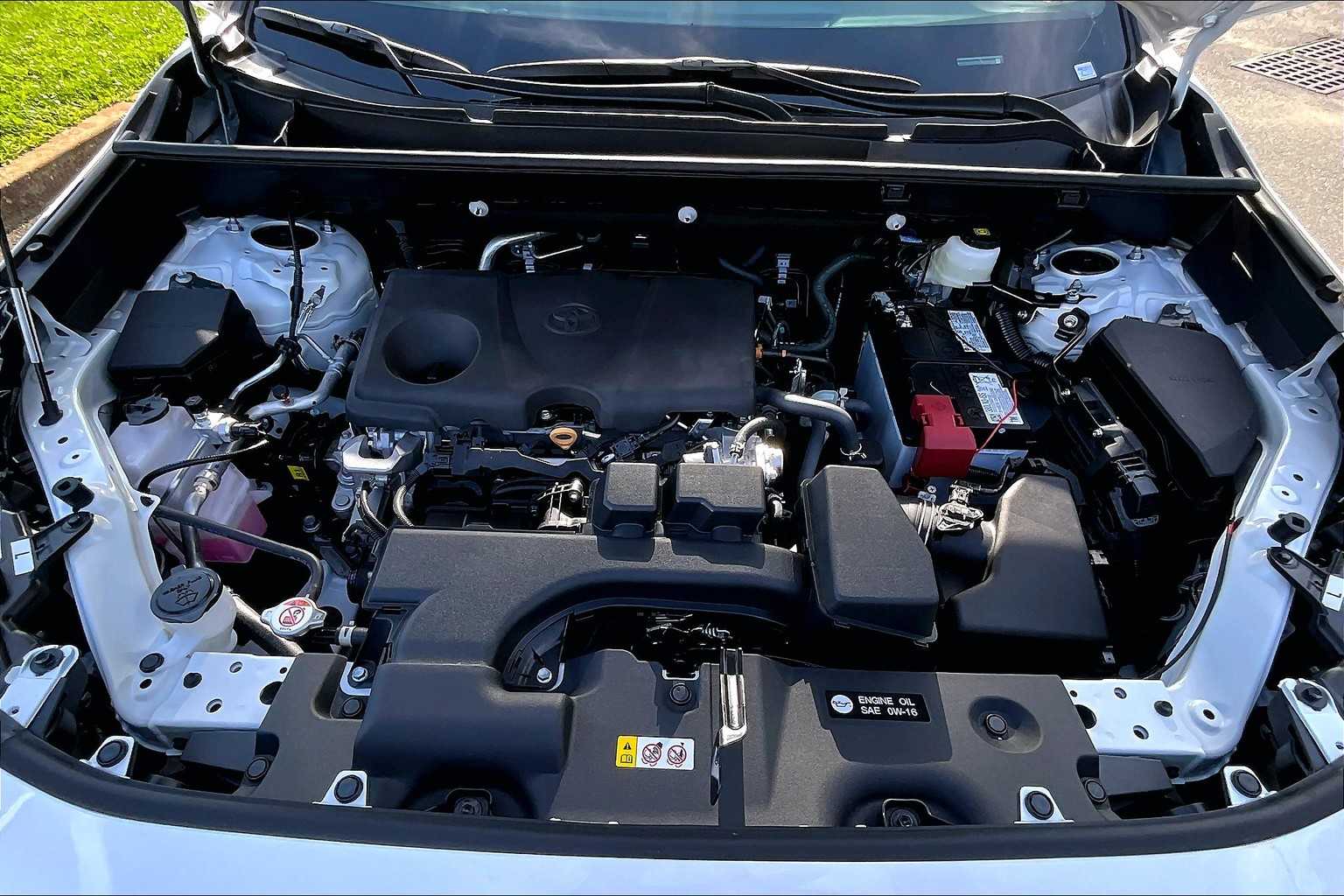 2025 Toyota RAV4 XLE photo 14
