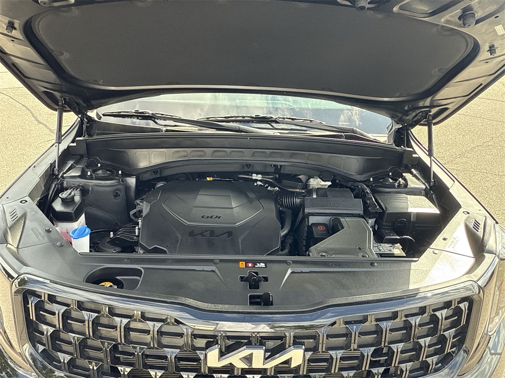 2024 Kia Telluride EX X-Line photo 16