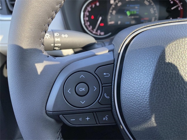 2025 Toyota RAV4 XLE photo 11