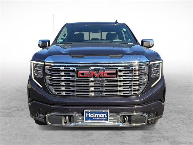 2023 Gmc Sierra 1500 Denali photo 2