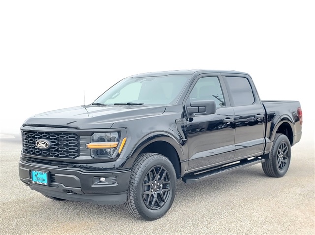 2025 Ford F-150 STX photo 2