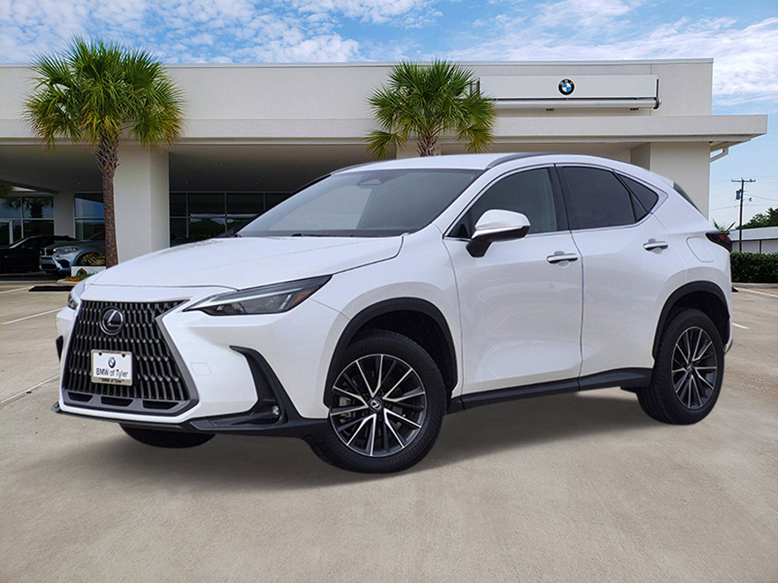 2024 Lexus NX 250's photo