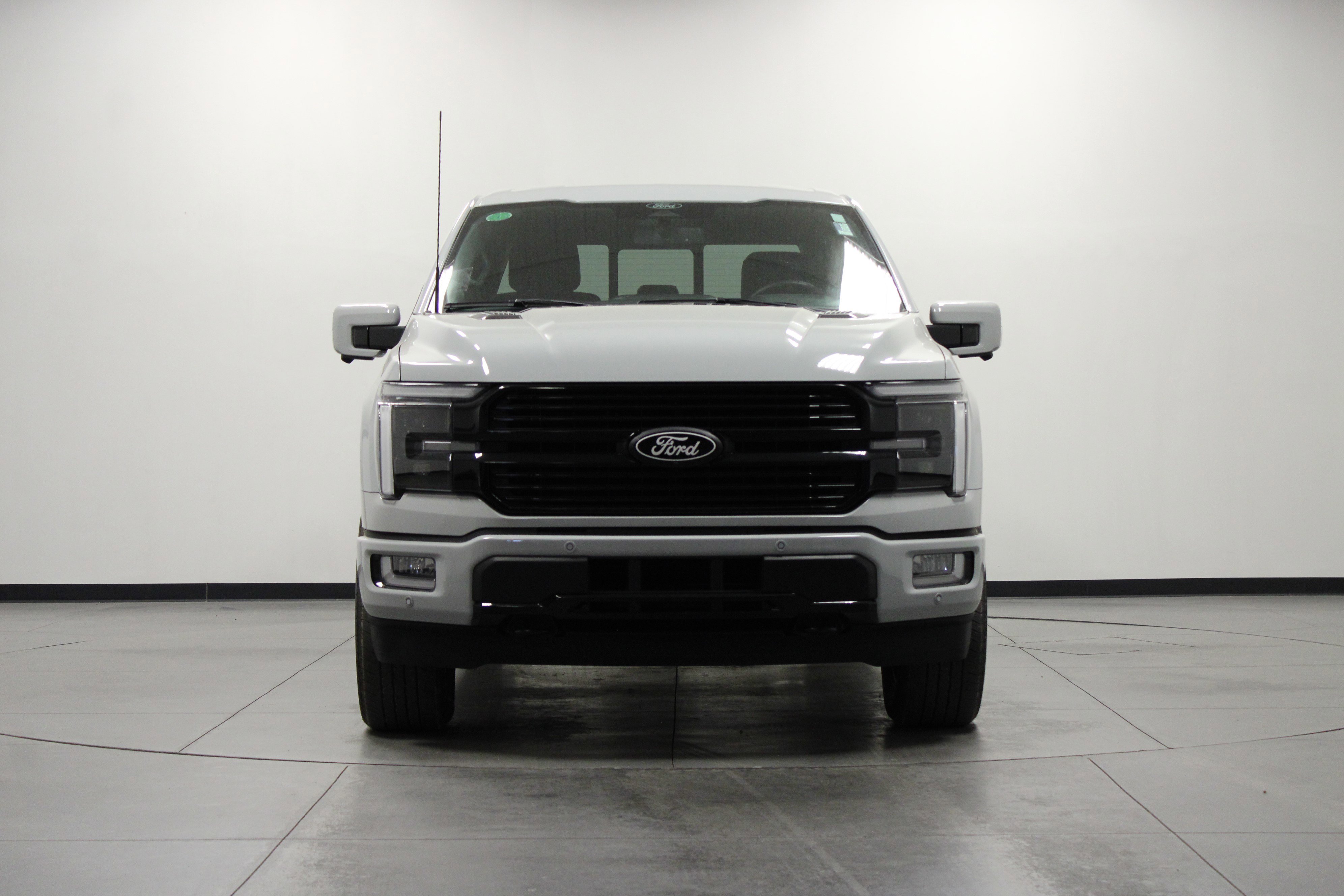 2024 Ford F-150 Platinum photo 7