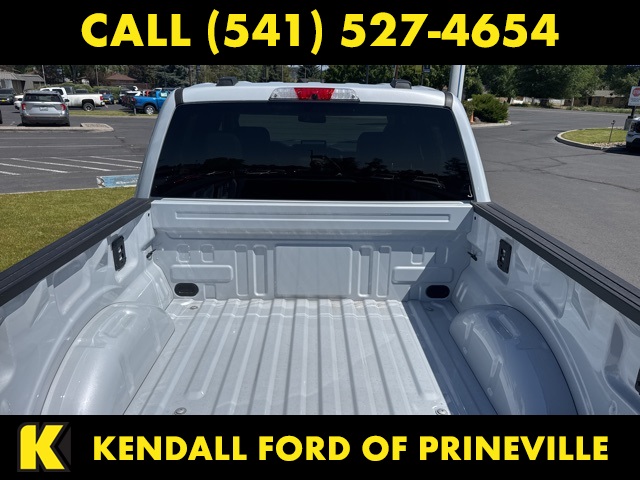 2025 Ford F-150 Lightning photo 8