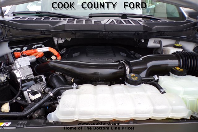 2023 Ford F-150 XL photo 20