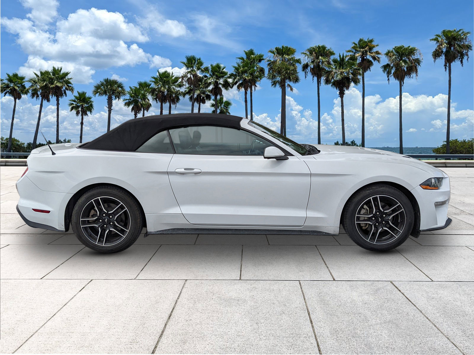 2023 Ford Mustang EcoBoost Premium photo 11