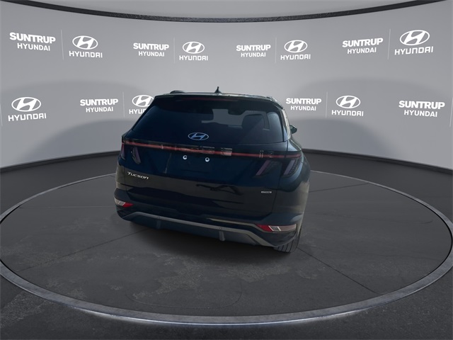 2024 Hyundai Tucson Limited photo 4