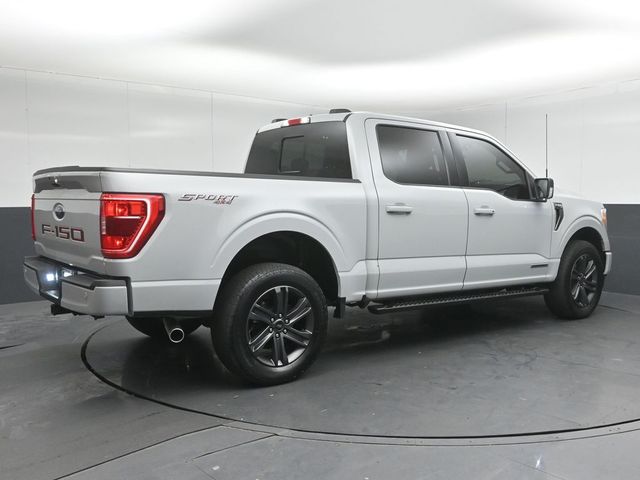2023 FORD F-150 - Image 7