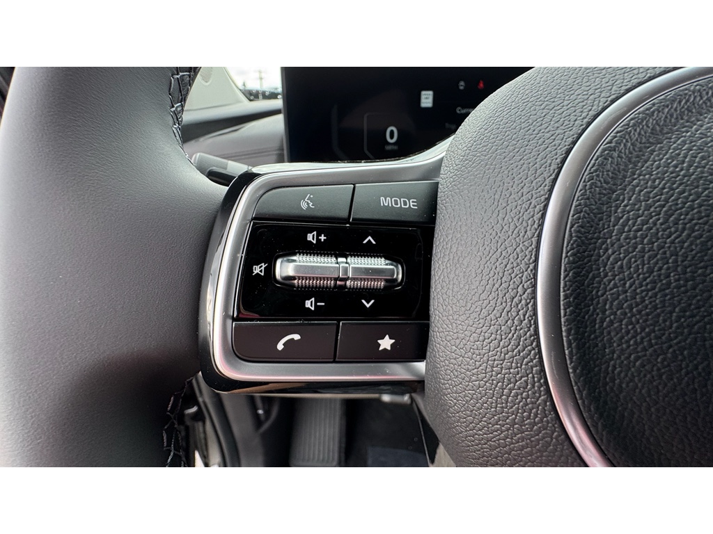 2026 Kia Carnival SX Prestige photo 8