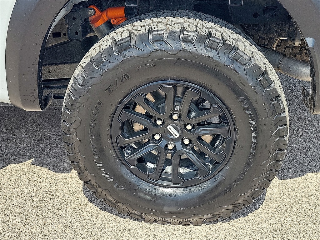 2024 Ford F-150 Raptor photo 10