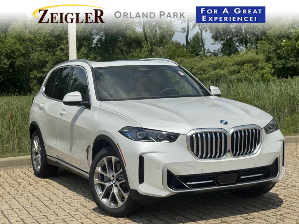 2026 BMW X5 50e's photo